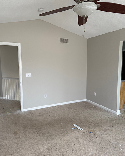 Exterior House Painting