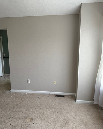 Exterior House Painting